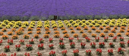 北海道はこれからが良い季節です