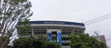 野球観戦