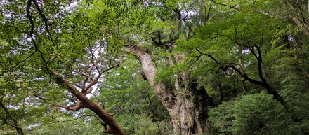 「カタログ旅行」で屋久島へ！10時間歩いた先で出会ったもの