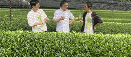 お茶所育ちの私が、永田茶園の「魂のお茶」でコンブチャの未来を見た話