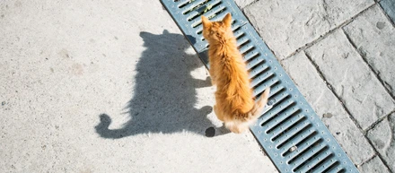 古い真鍮の鍵を回す