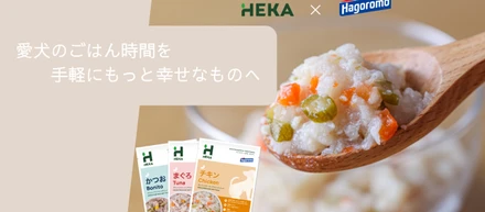 【開発秘話】はごろもフーズ×獣医師と共同開発！「ウェットフードの新常識」に挑むHEKAのモノづくり
