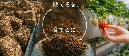 きのこ農家から出る"ゴミ"は、収穫量の2〜3倍出る