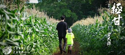 なぜIT企業が長野でとうもろこしを育てるのか
