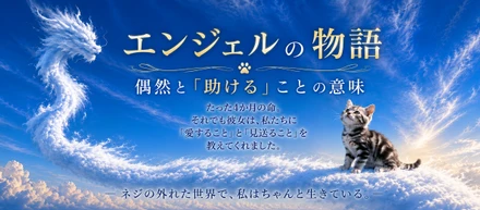 エンジェルが教えてくれた命の軌跡