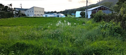【出雲】実践！古民家再生＆休耕田再生