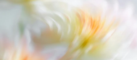 AIデザイン自画自賛を見て思ったこと