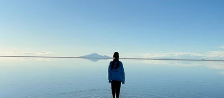 机は、ダンボールだった。