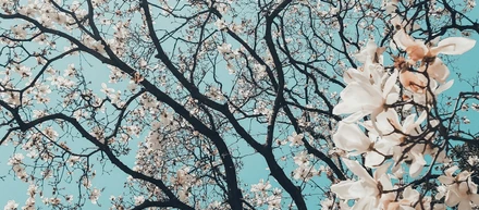 Why I WANT to Work in Luxury Marketing in Japan