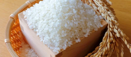 物価高から社員を守りたい！「お米毎月3kg支給制度」が生まれた裏側【人事のつぶやき20260812】