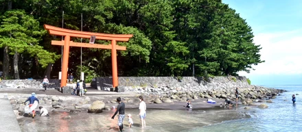 おススメの海は下田方面一択