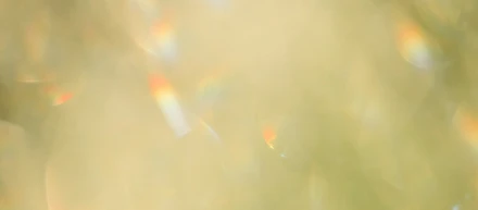 私たちがこの仕事を続ける理由。これまでと、これからの話
