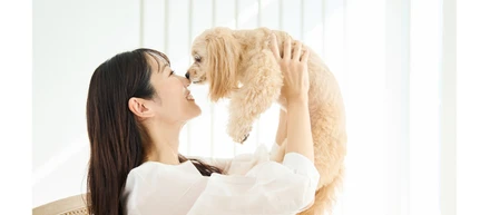 ライダースパブリシティが家サイトにてご紹介している家づくり最新コラム ～ペットと暮らす家のつくり方｜工夫ポイントや間取りのアイデアを紹介～①