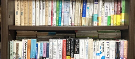 なぜだ！――インテグラルを追いかけていたら、成人発達の現場にたどり着いた話