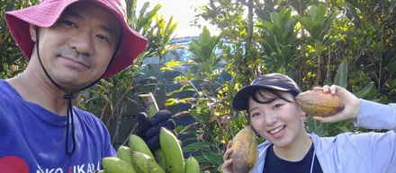 評価軸