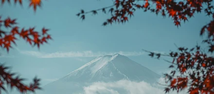 真の誠実さについて