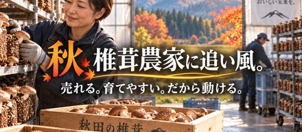 秋になると、ハウスの管理が切り替わる
