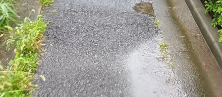 また雨ですね。。。