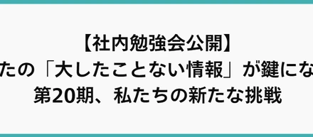 【社内勉強会公開】あなたの「大したことない情報」が鍵になる？第20期、私たちの新たな挑戦
