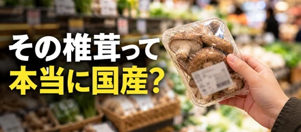 その国産椎茸って本当に国産だったのか…？