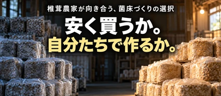 だからレンチナスは完全国産の原料で椎茸を作る