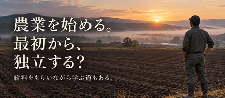 現実は甘くない。だからレンチナスを踏み台にすればいい。
