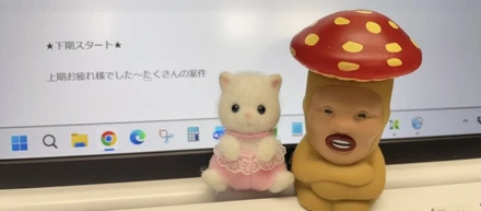 ★下期スタート★