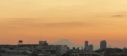 秋のせいなんて