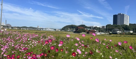 見栄っぱりと人の心理から考える