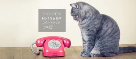 【入社式】創業1年目のスタートアップに早くも新卒が入社しました