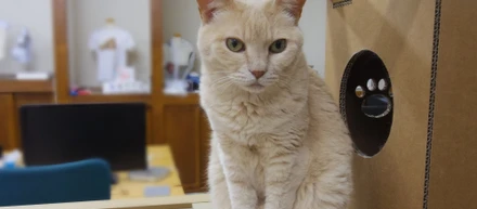 もっと知りたい？答えます！