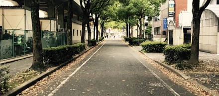 まっすぐ