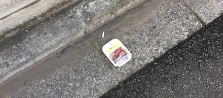 烏賊いかが