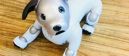 命名ミューZ！ビッグビートにaiboがやってきた