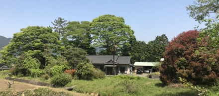 ルーラル＆インバウンド展開、ハジマル。