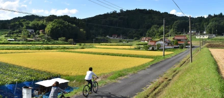 【観光を核とした「町全体のビジネス」を、一緒に作る仲間を探しています！】