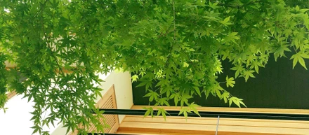 家具工房で働く　リアル＃9　ブランディングというおしごと