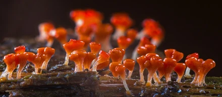 ニッポンを「創発」でいっぱいに！
