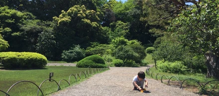 現在に至るまでの経緯（あるいは、どのように道に迷いながら歩いてきたか）