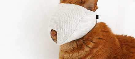 爪きりで大暴れする猫さんへ