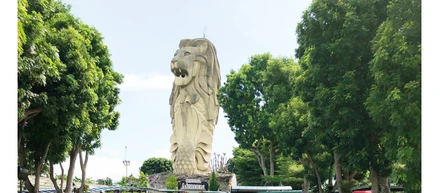 シンガポール視察旅行に行ってきました！