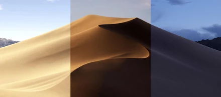 Mojave にアップデートしたら Vagrant 環境が動かなくなった時の話。