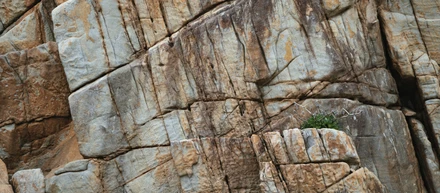 Break The ROCK