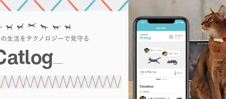 猫が大好きすぎてCat-Tech Companyを爆誕させました。