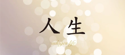 兵働拓の人生年表