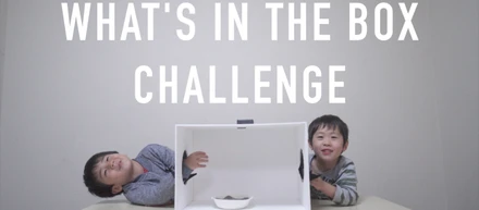 【おもしろ＊かわいい】日本の子供が英語でブラックボックスに挑戦したらかわいすぎた。