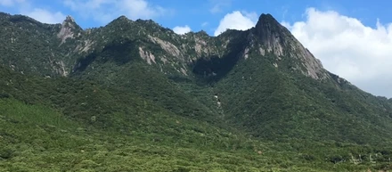 屋久島 研修