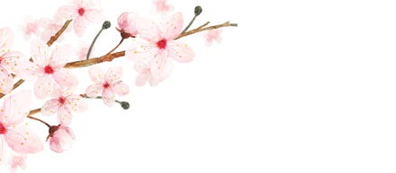 Hanamiを採用して良かった点と苦労した点