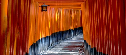 Globalization based on Japanese civilization ~ What Zenport wants to achieve