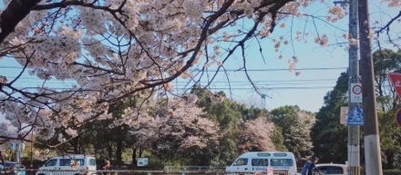 次の春